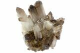 Beautiful, Smoky Quartz Crystal Cluster - Brazil #79887-1